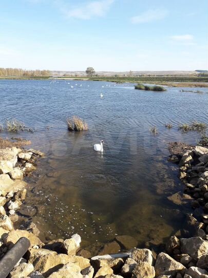 Участок 13 га (СНТ, ДНП)