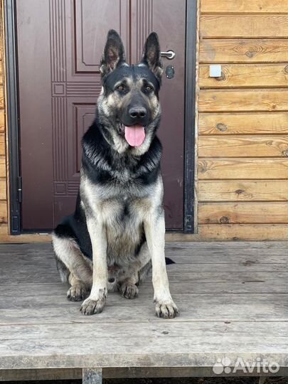 Кабель на вязку