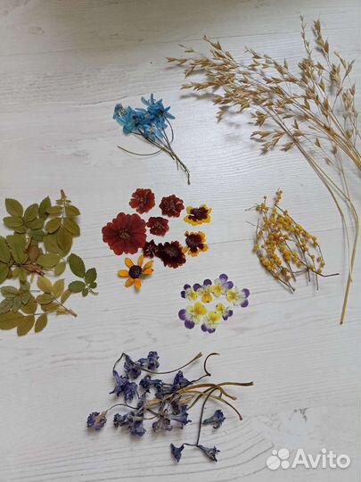 Продаю цветы для творчества