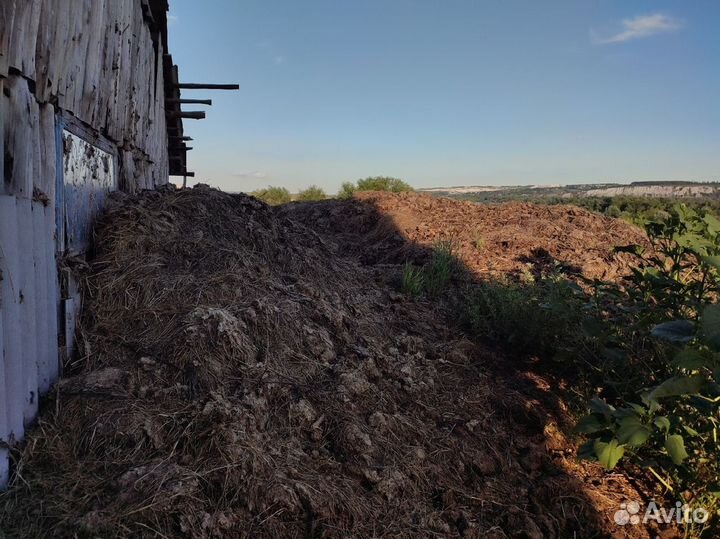 Навоз коровий