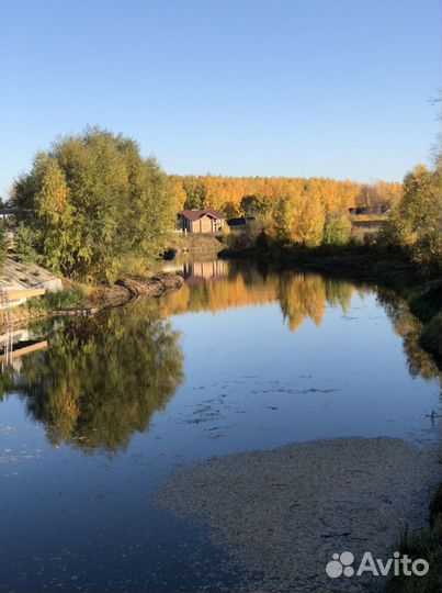 Очистка водоемов