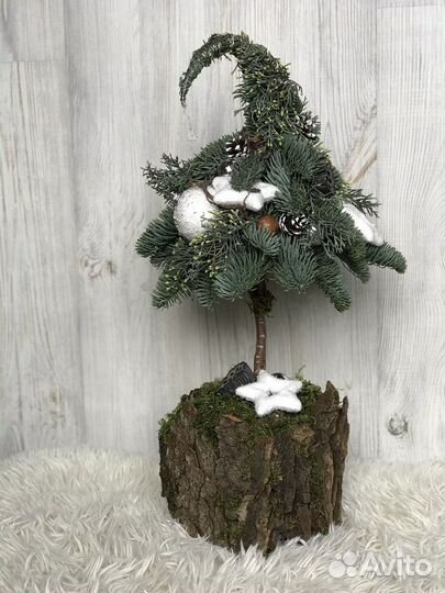 Новогодние елки, композиции