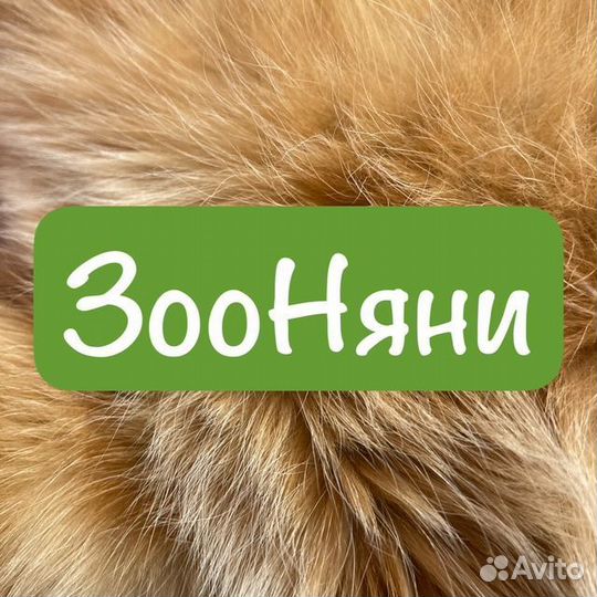 Зооняня, Зоопсихолог