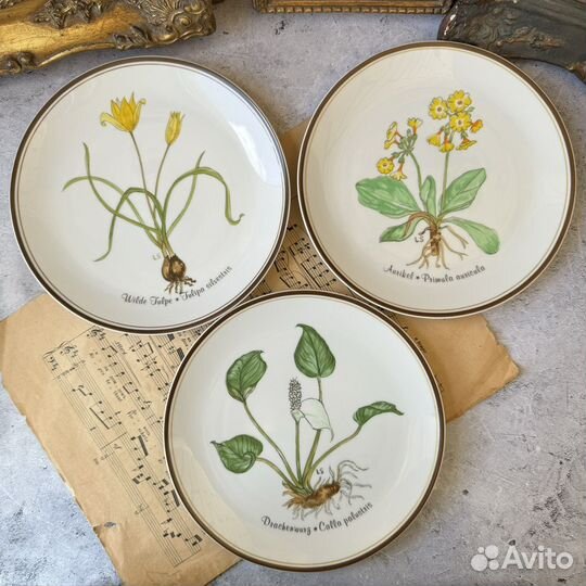 Настенные тарелки 