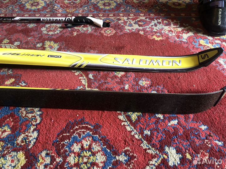 Горные лыжи