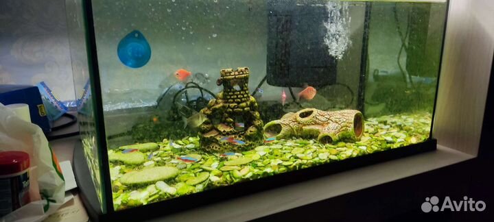 Аквариум с рыбками
