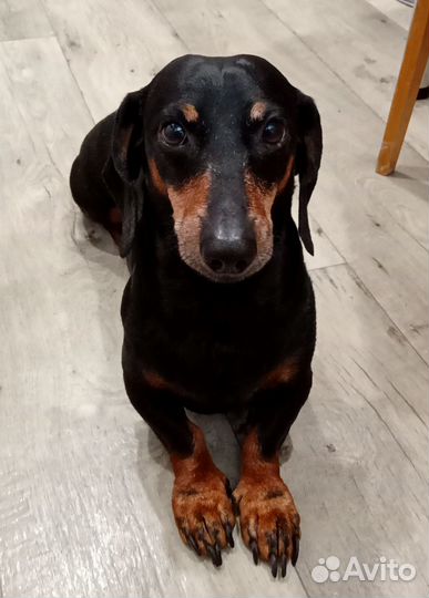 Вязка, ищем девочку, г.Ишимбай