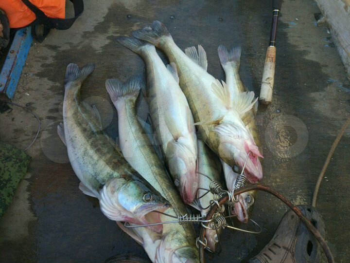 Дом 36 м² на участке 6 сот.