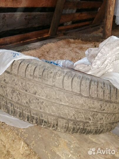 Amtel NordMaster Evo 7.00/65 R15 22G