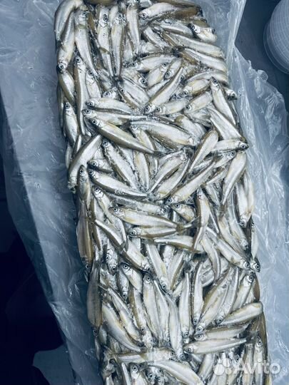 Корюшка с икрой 9+