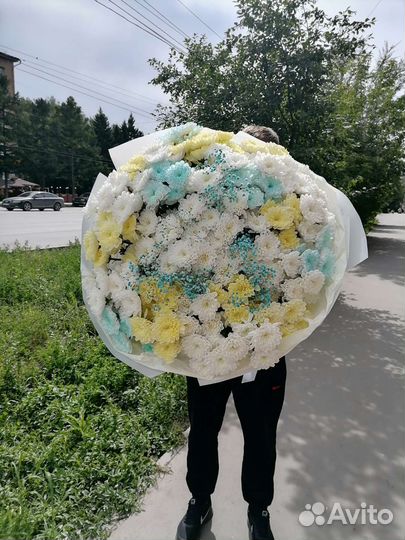 Хризантема