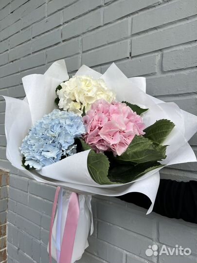 Гортензии букет гортензий цветы доставка