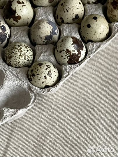 Скатерть 150*150см, лён хлопок люрекс