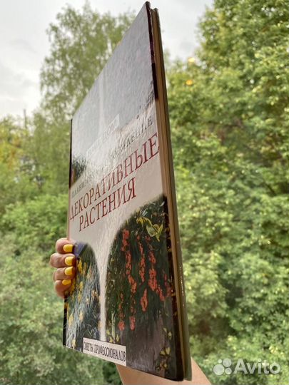 Декоративные растения. Планировка и оформление