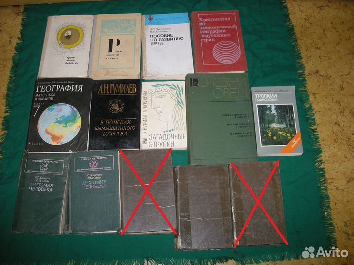 Учебники анатомия русский физика английский шахмат