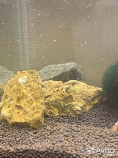 Мини аквариум