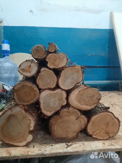 Можжевельник