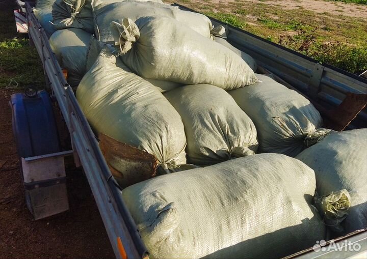 Конский навоз