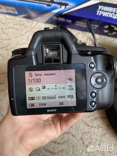 Sony a290