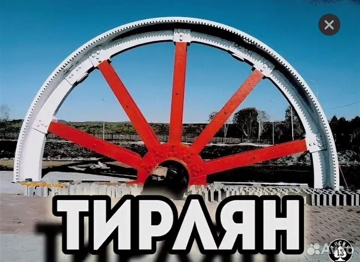Бык, коза