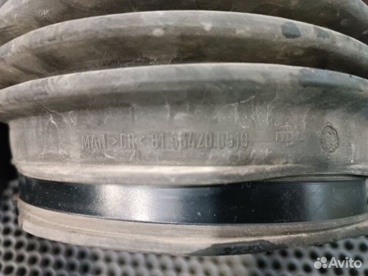 Гофра воздушного фильтра Man Tgx