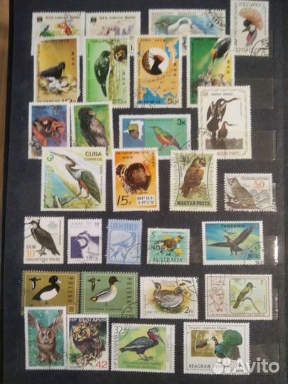 Коллекция почтовых марок