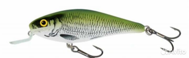 Salmo executor 9SR-OLB