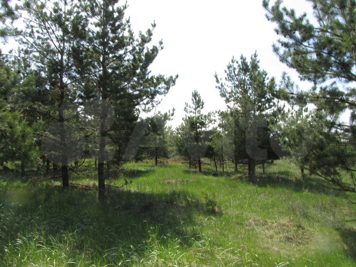 Участок 7,25 га (ИЖС)