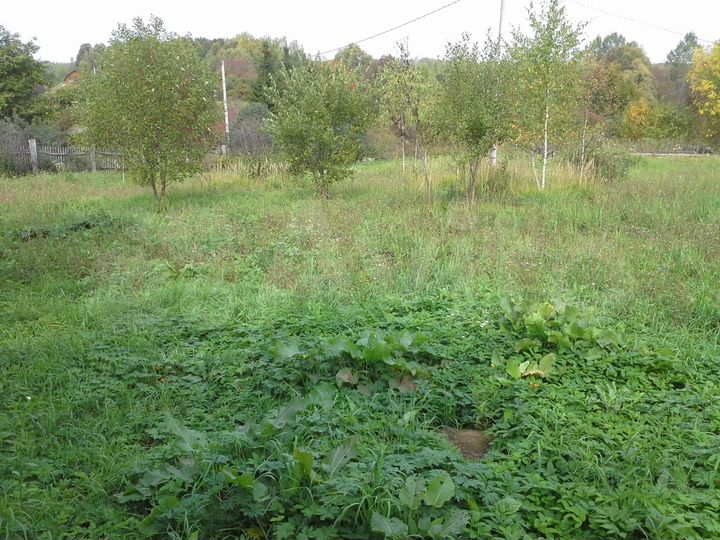 Участок 40 сот. (ИЖС)