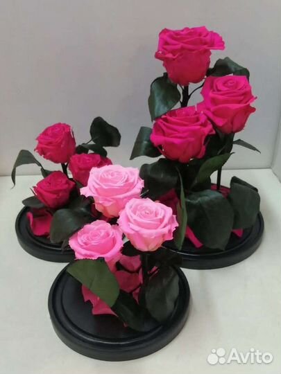 Цветы оптом