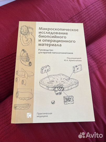 Макроскопическое исследование Ю А Криволапов