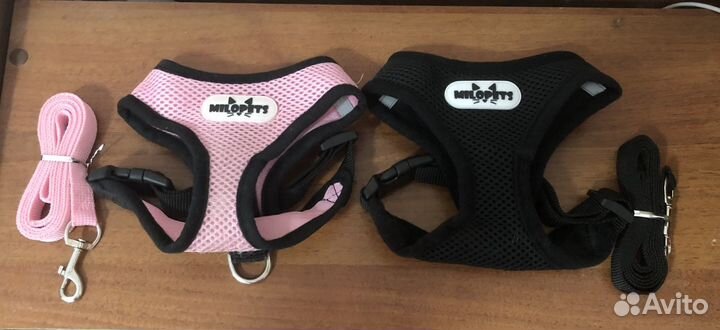 Обувь и шлейка для домашних животных