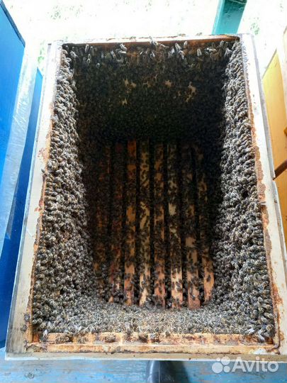 Ульи для пчел