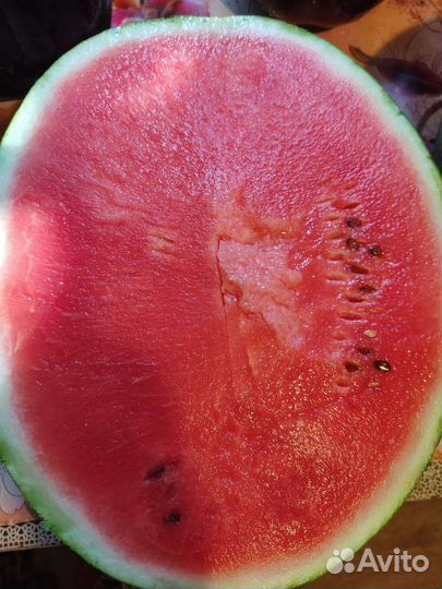 Семена арбуза Леди f1