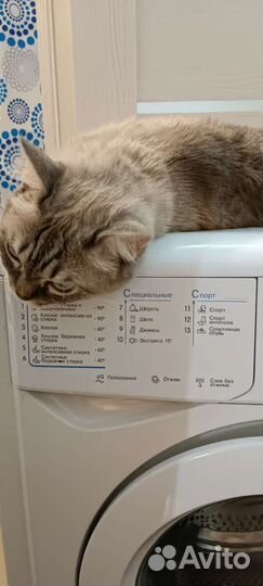 Indesit 5 kg Доставка и установка