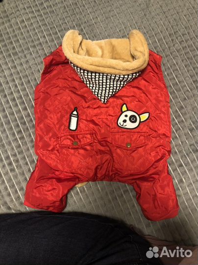 Комбинезон для собаки