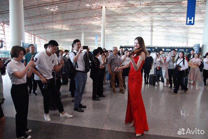 Скрипачка Скрипка