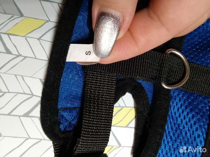 Шлейка для маленькой собаки