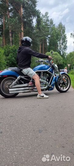 Харлей-дэвидсон в-род