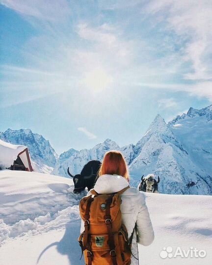 Зимние вершины прекрасного Домбая из минвод