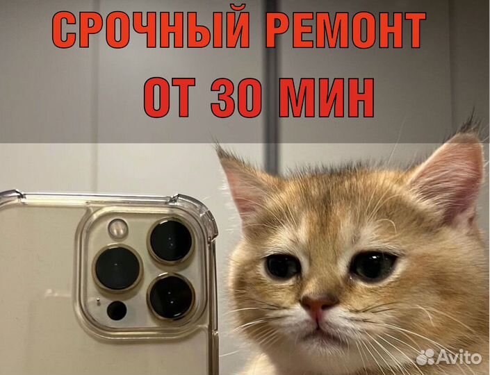 Ремонт телефонов iPhone Samsung и др. техники