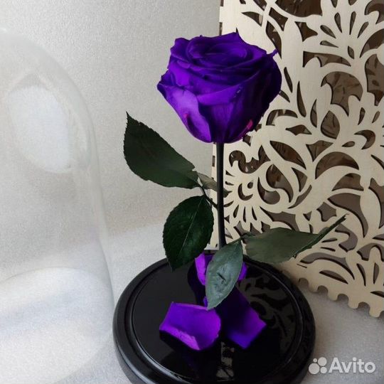 Роза в колбе. Стоит до 8 лет