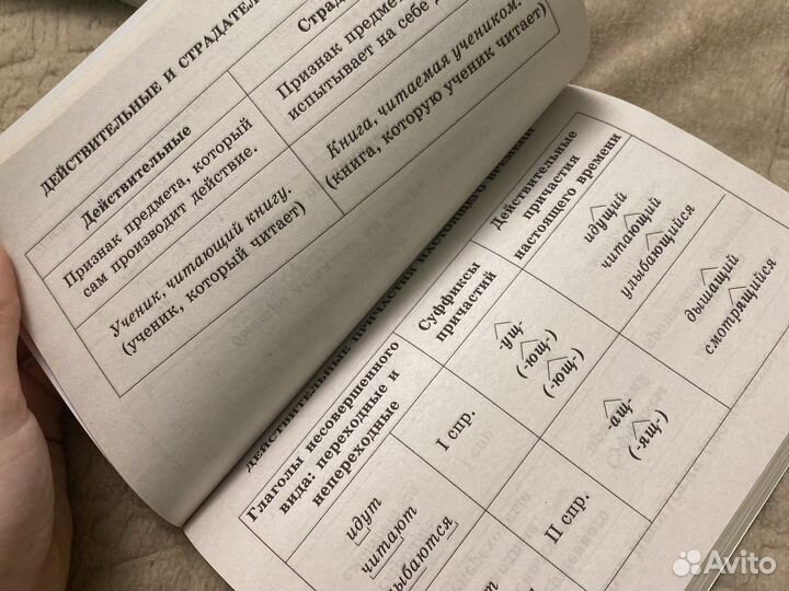 Учебные таблицы 5-11 классы Малюшкин