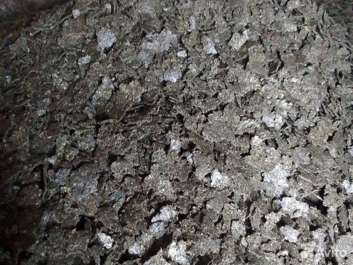 Зерно ячмень, пшеница, кукуруза, жмых