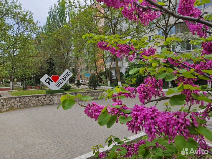 Отдых у моря в Крыму