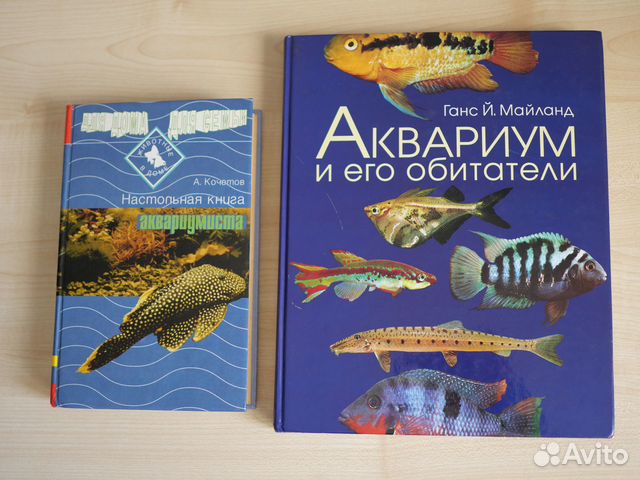 Аквариум и его обитатели