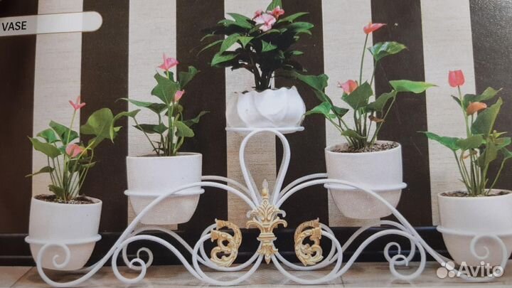 Цветочницы