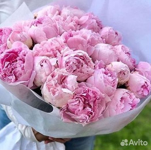 Пионы Букеты Цветы Доставка