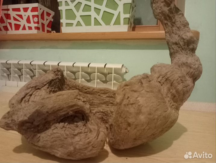 Коряга из горной реки