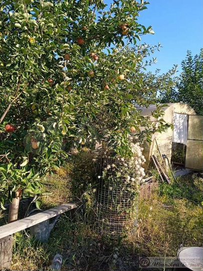 Дом 60 м² на участке 26 сот.